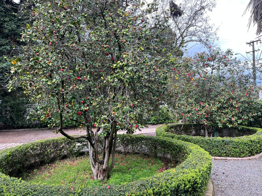 Casa Silva Hotel主图