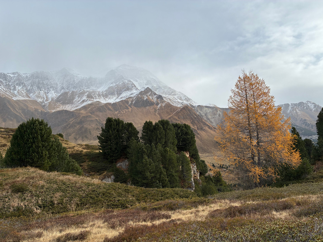 Family hotel Clarezia主图