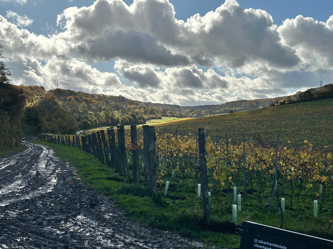 Silverhand Estate-Luddesdown必去景点