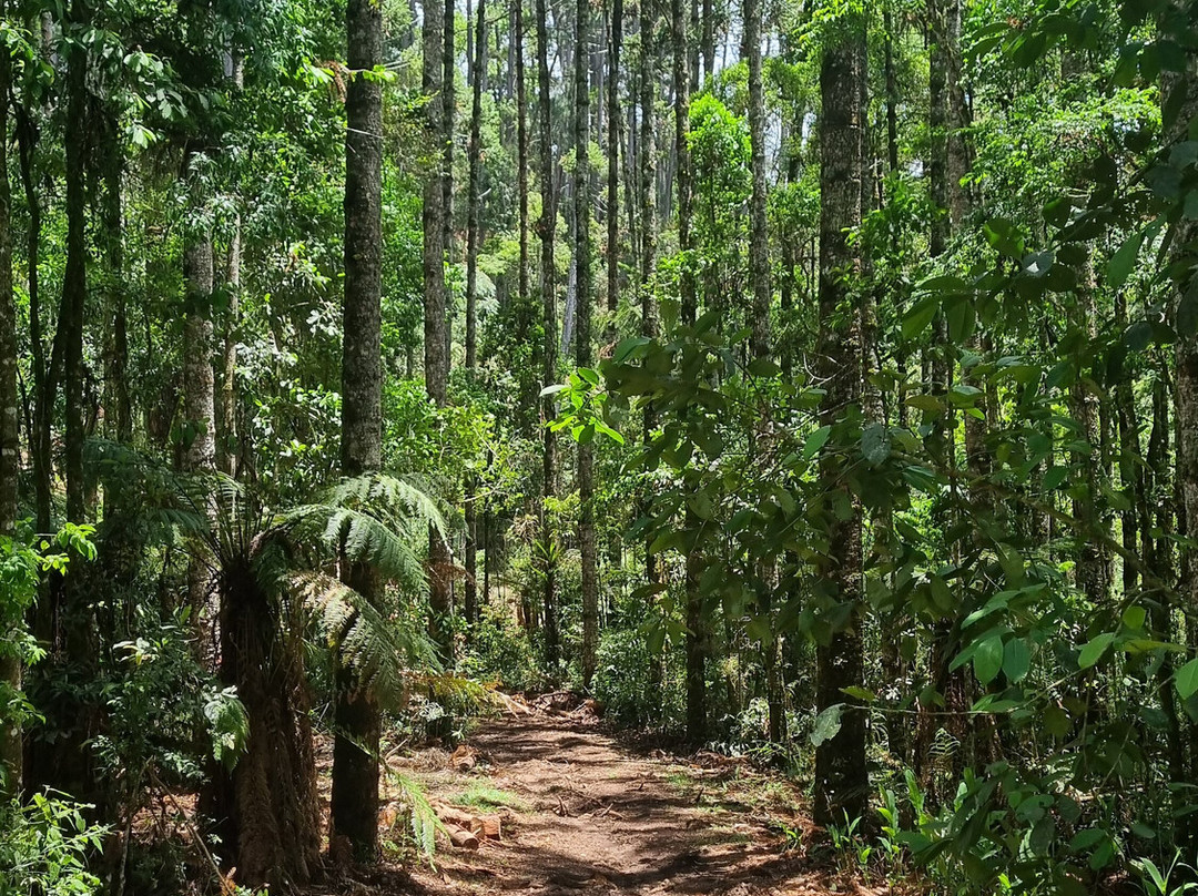 Trilha das Corredeiras do Itapuá-蒙特贝尔德必去景点