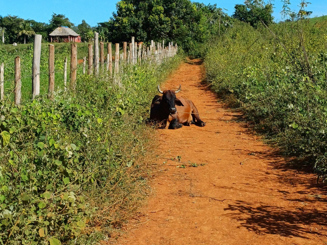 Authentic Tour Delivery-null必去景点
