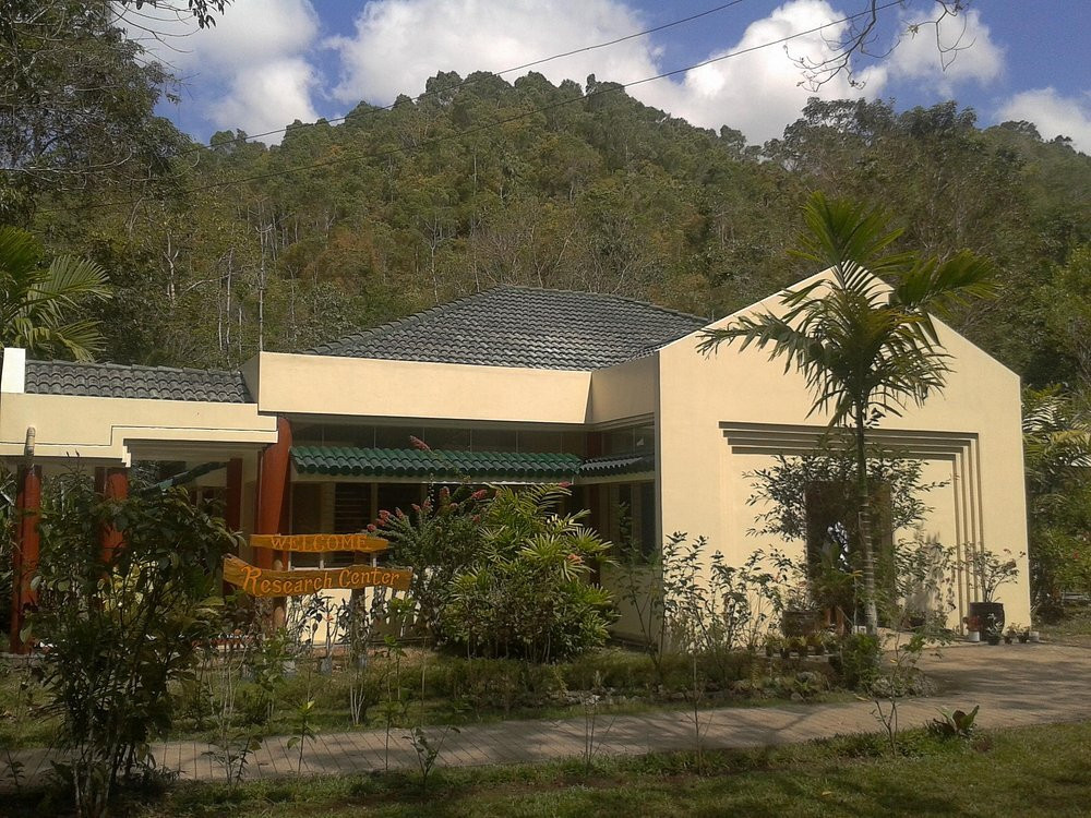 菲律宾眼镜猴及野生动物保护区-Corella必去景点