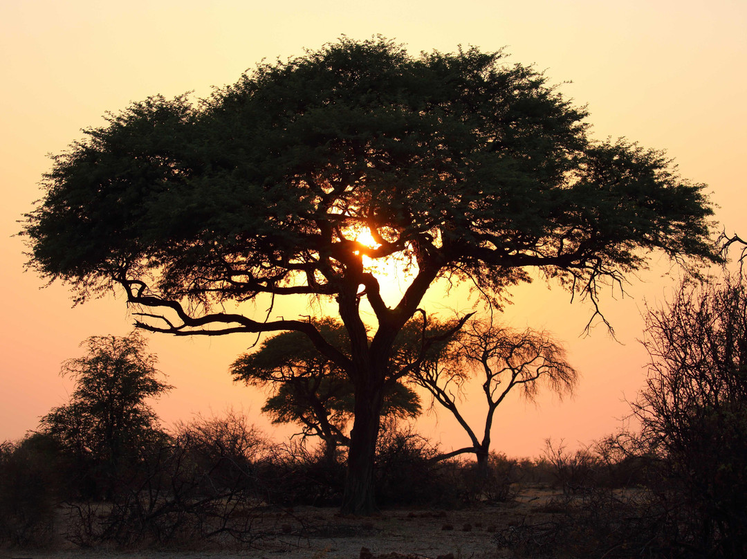 Africa's Best Adventures-开普敦必去景点