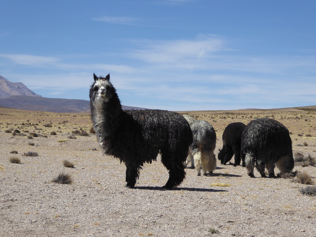 Mayuru Tour-Putre必去景点