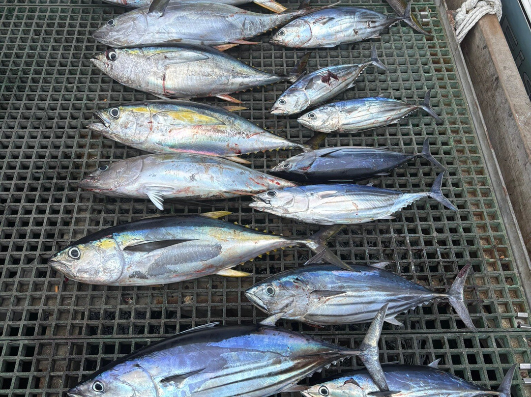 Fish Whisperer-黑河必去景点