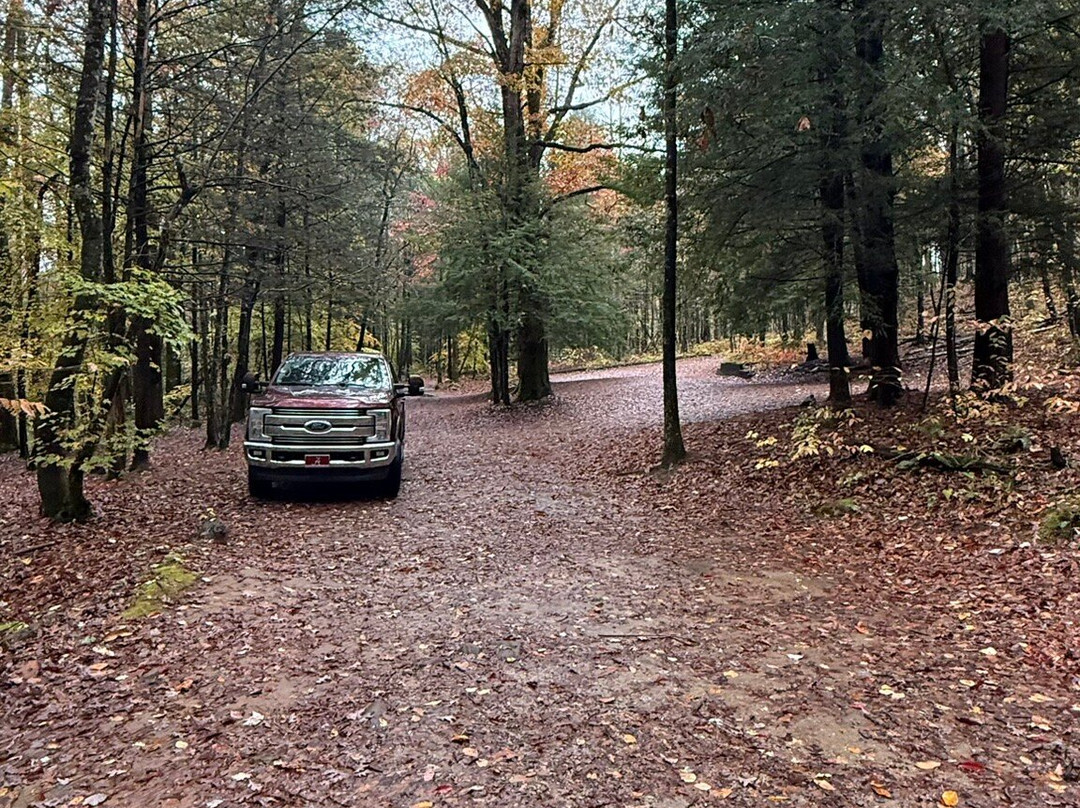 Hemlock Falls Trail-Clarkesville必去景点