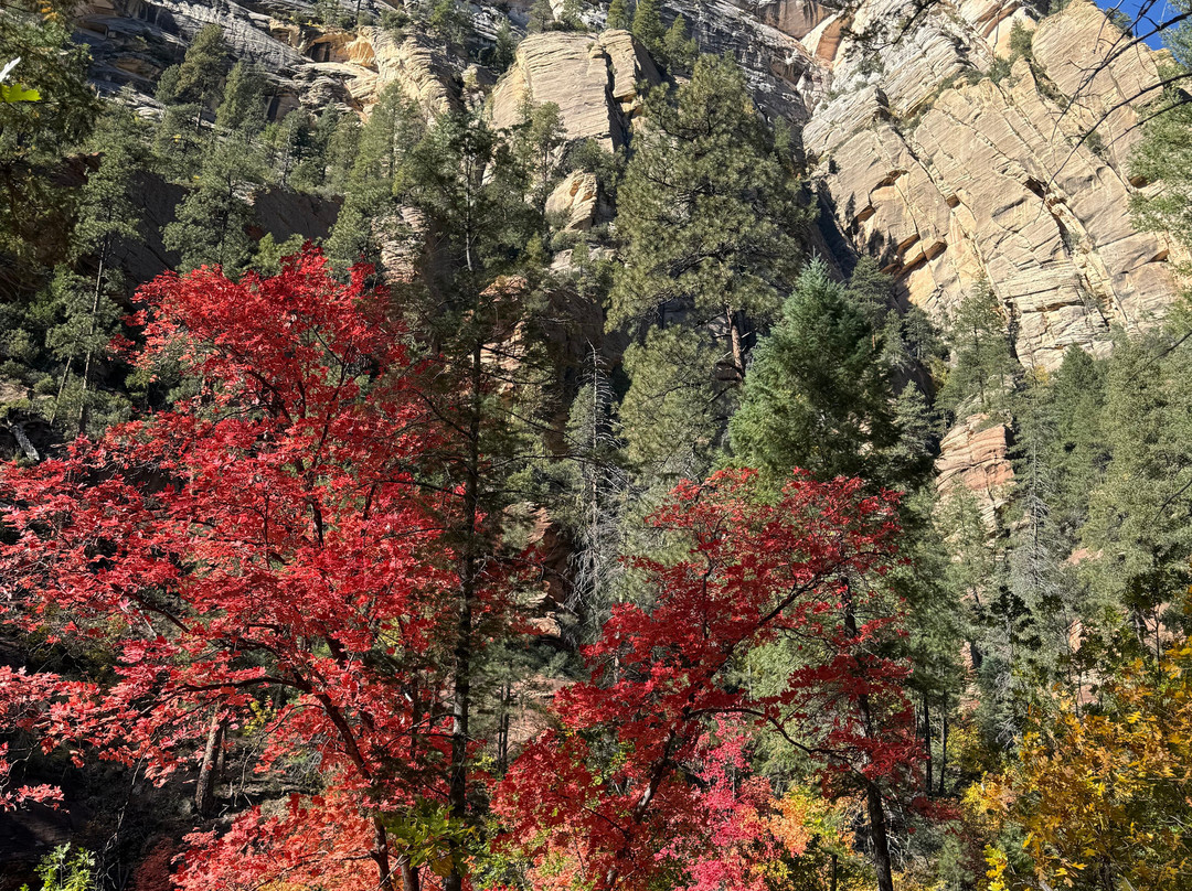 West Fork Oak Creek Trailhead-塞多纳必去景点