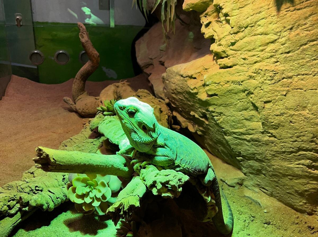 Acquario Di Livorno-里窝那必去景点