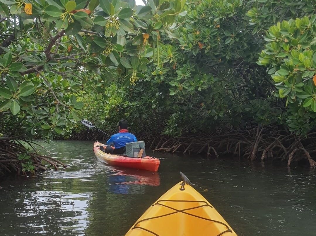 Sea Kayak Adventures-毛里求斯必去景点