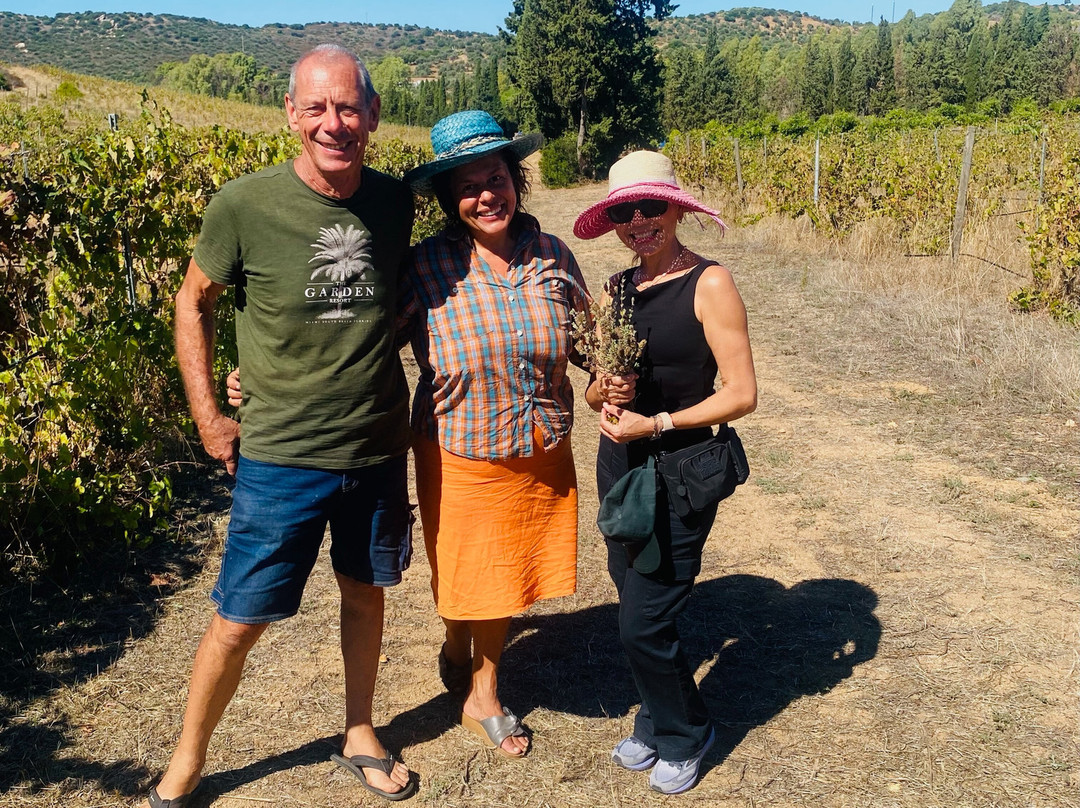 In Our Garden-夸尔图－圣埃莱娜必去景点