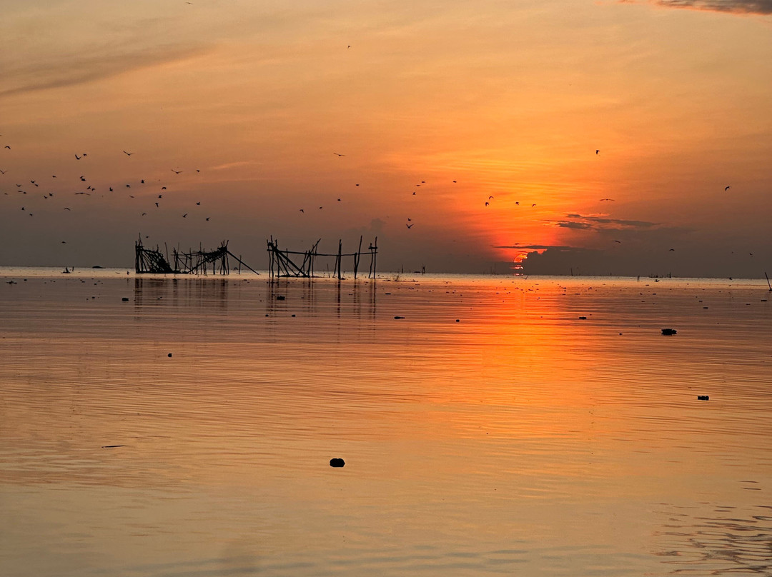 Thale Noi Waterbird Park-博他伦府必去景点