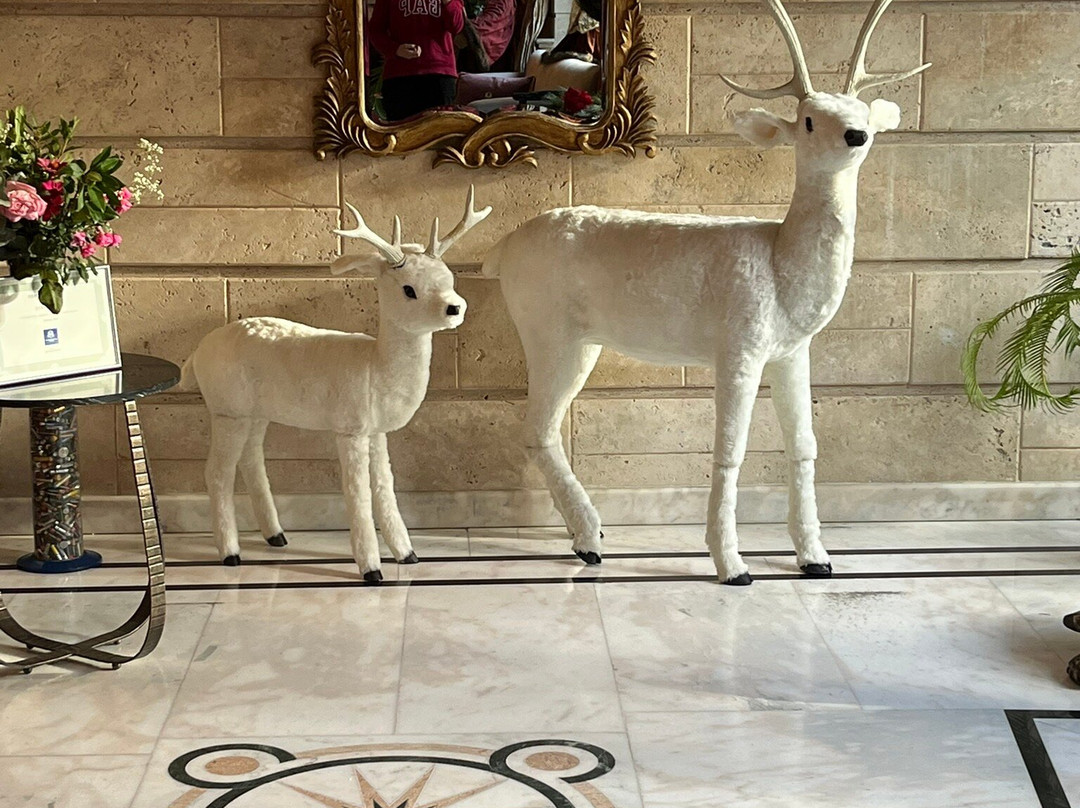 奥林巴斯地中海精品酒店主图