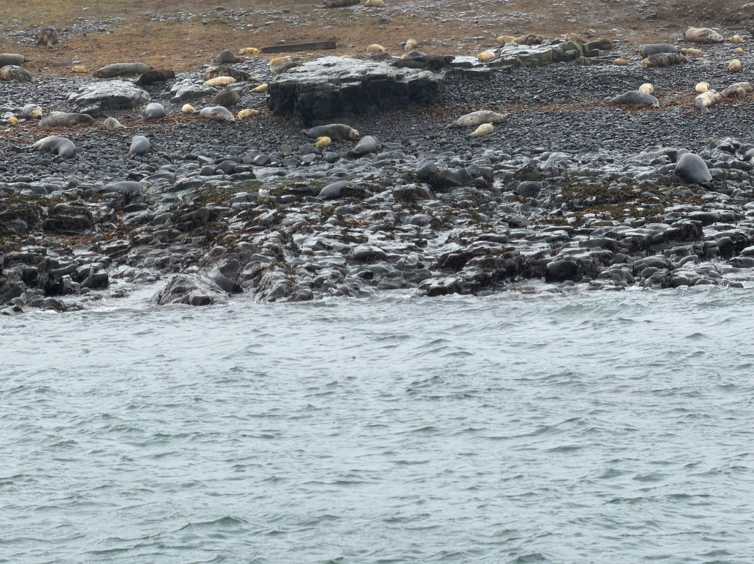 Billy Shiel's Boat Trips-Seahouses必去景点