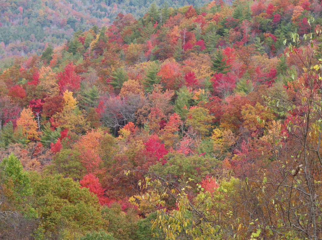 Cherohala Skyway-Tellico Plains必去景点
