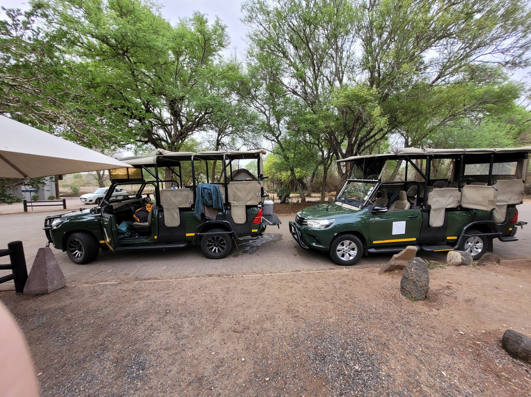 The Other Animals Safaris-克鲁格国家公园必去景点