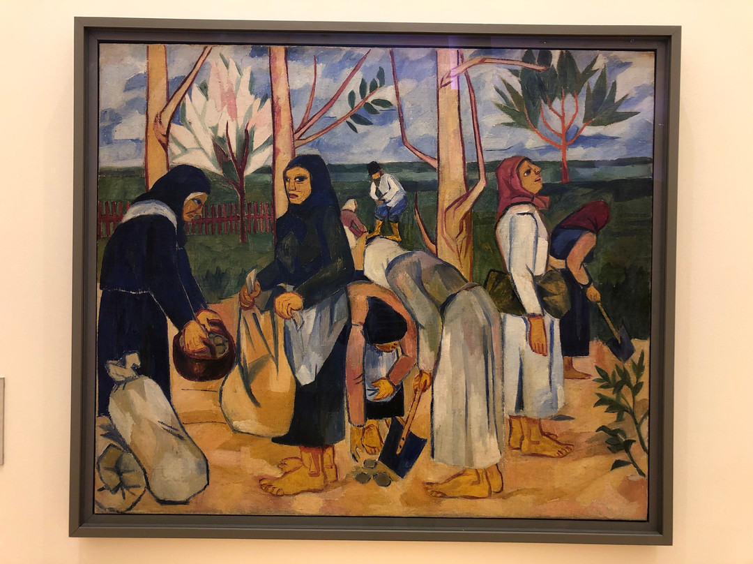 Musée d'Art Moderne et Contemporain-斯特拉斯堡必去景点