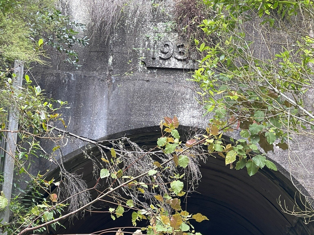 Gisborne Railbike Adventure-吉斯本必去景点