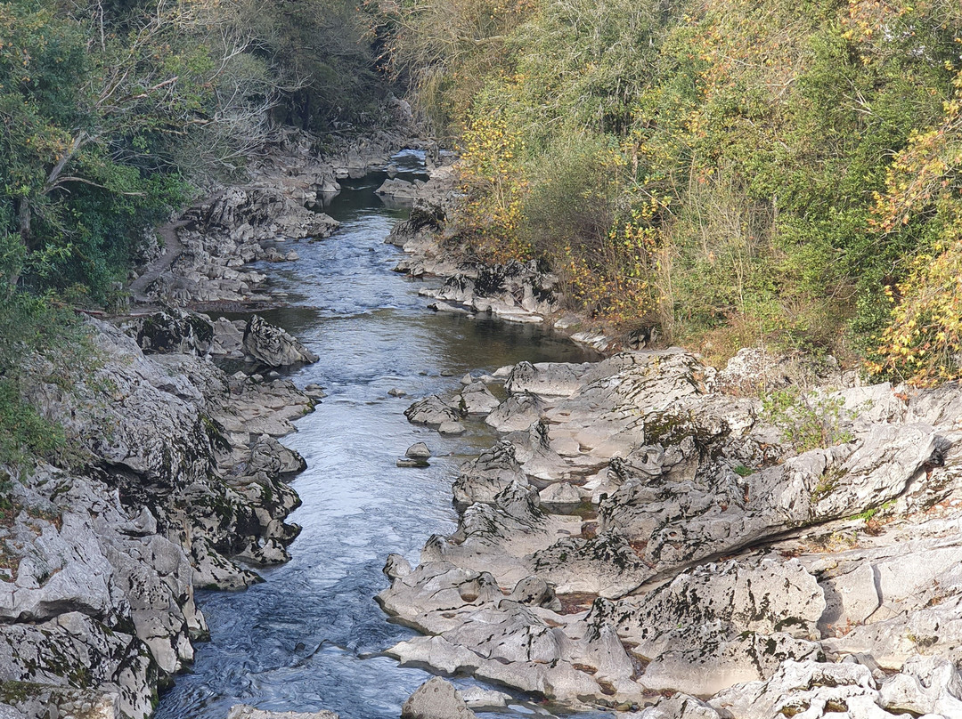 Pasarela del Rio Pas-Puente Viesgo必去景点