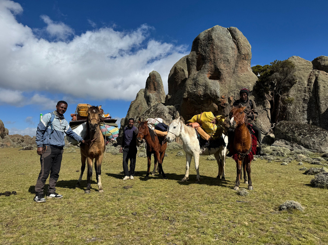 Bale Trek Ethiopia Tours-Goba必去景点