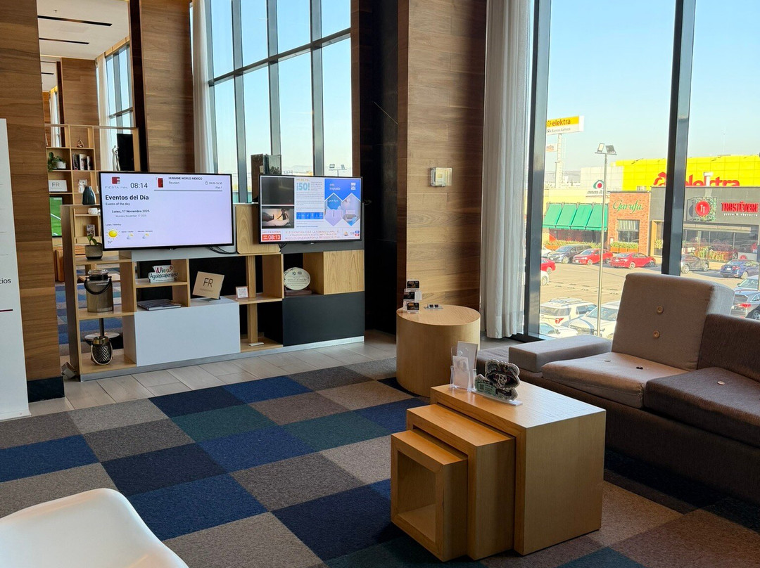 Fiesta Inn Aguascalientes Patio主图