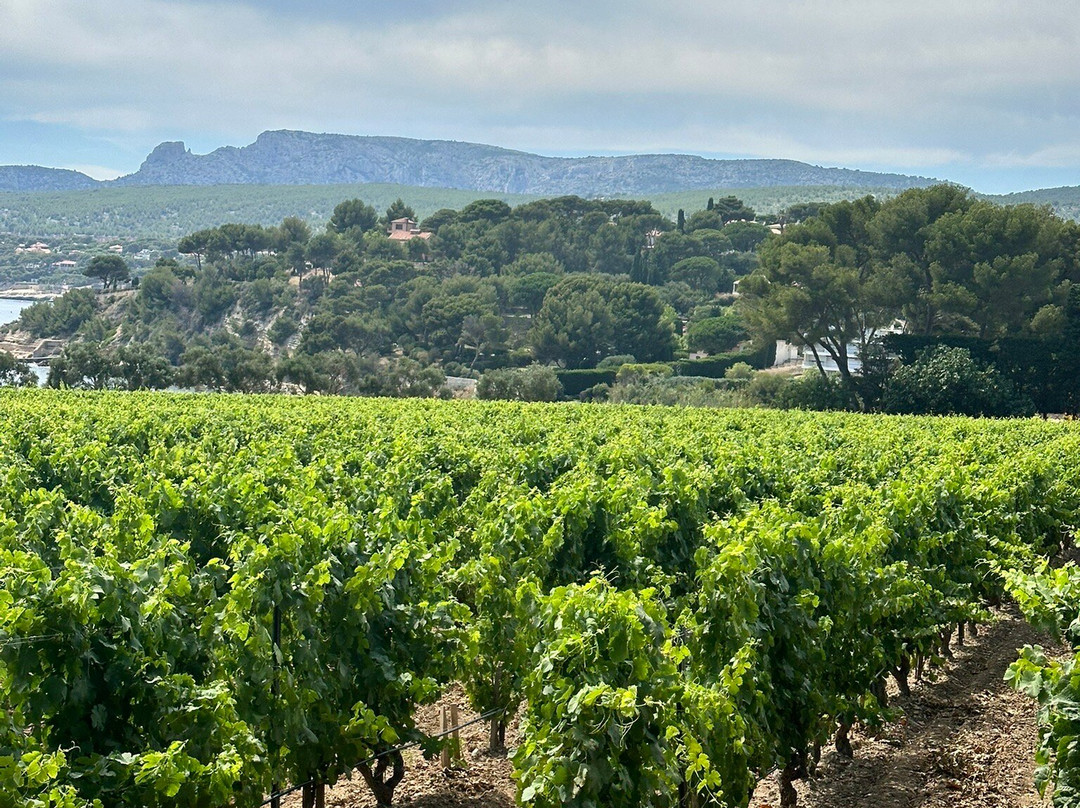 Domaine des Beaucas-圣马克西姆必去景点