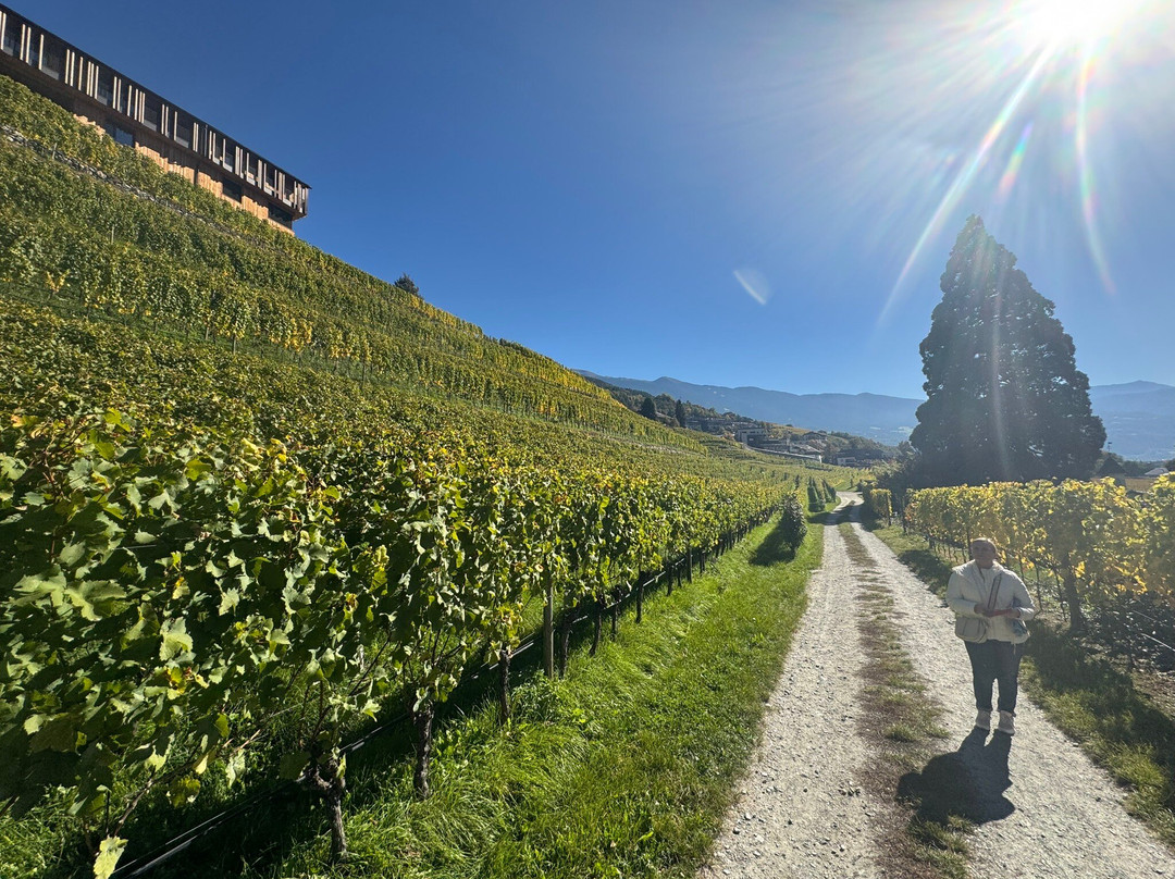 Abbazia di Novacella-Varna必去景点