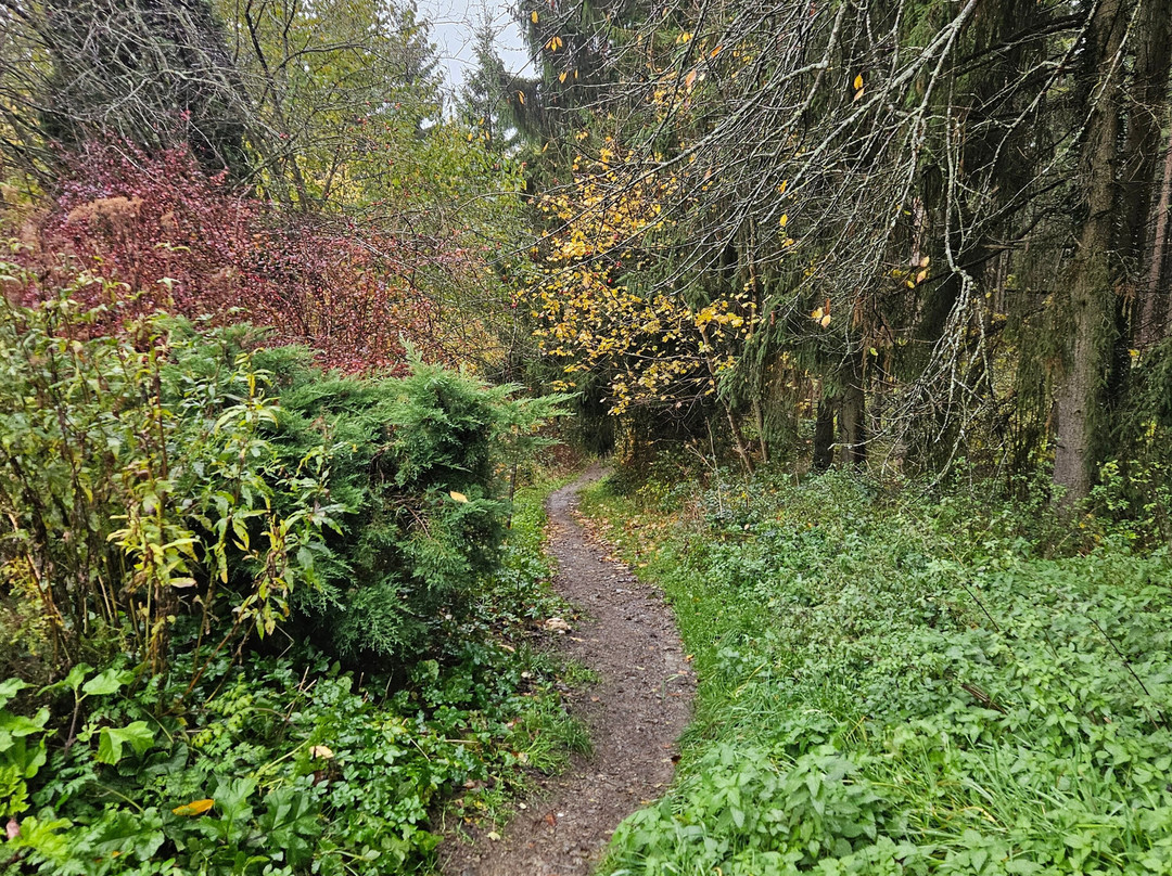 Chateau de La Roche-en-Ardenne-拉罗什—阿登必去景点