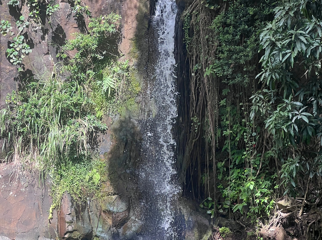 McBryde Garden - National Tropical Botanical Garden-可爱岛必去景点
