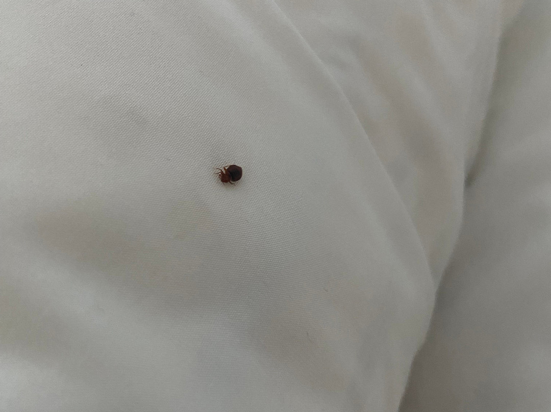 Holiday Inn Express Fort Wayne-East (New Haven) by IHG主图