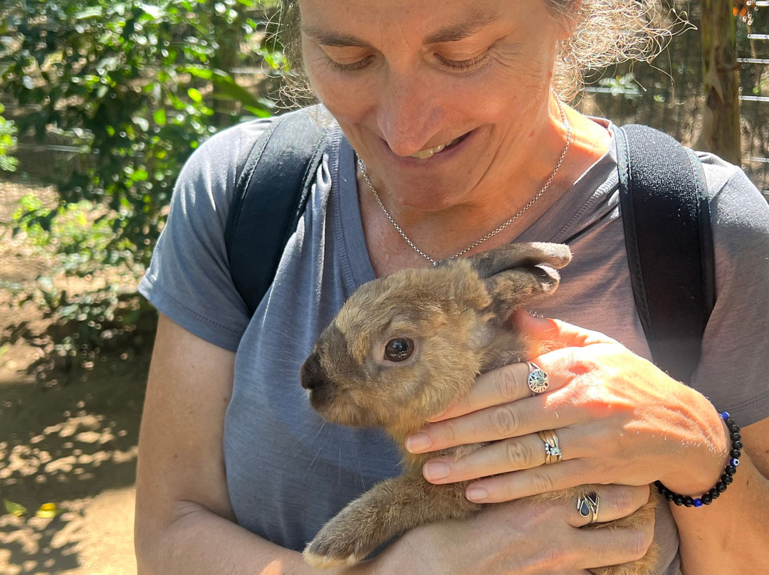 The Monkey Farm-Playa Ocotal必去景点