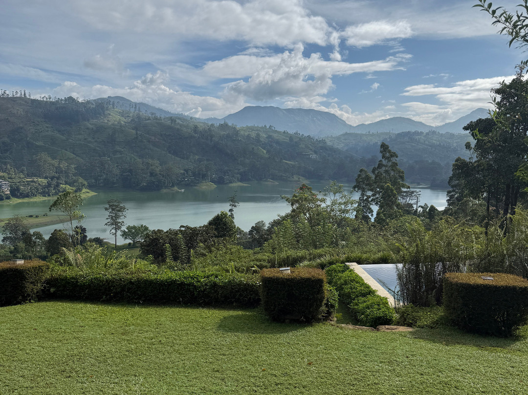 Camellia Hills主图