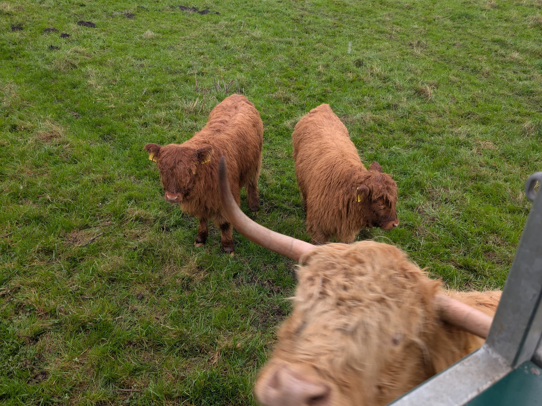 Dumble Farm-比弗利必去景点