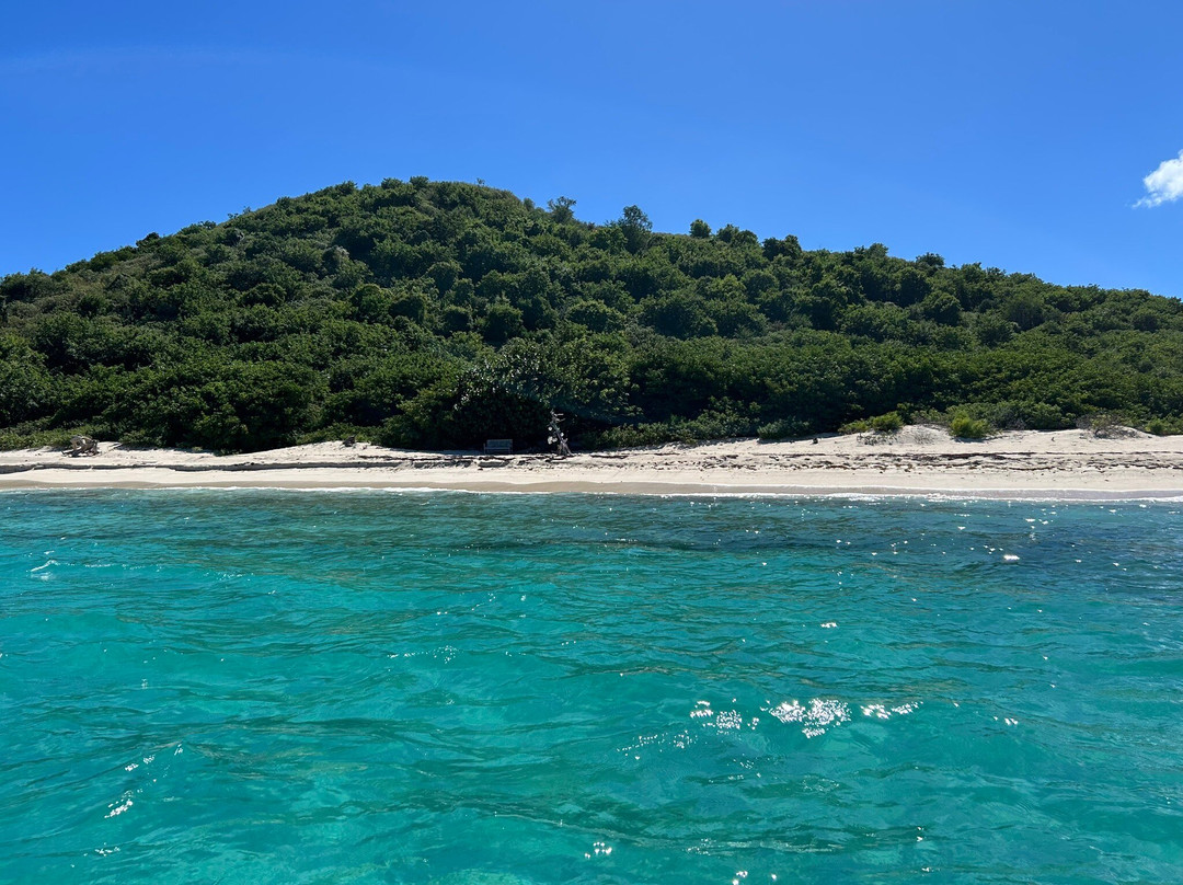 Blue Runner Charters And Boat Rentals-Spanish Town必去景点