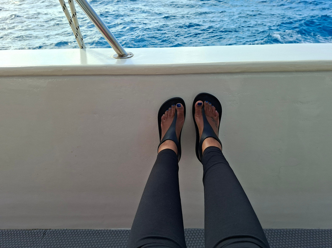 Ayia Napa Harbour-阿依纳帕必去景点