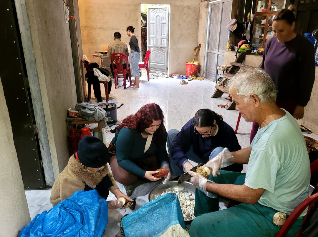 Dalat Discovery Travel-大勒必去景点