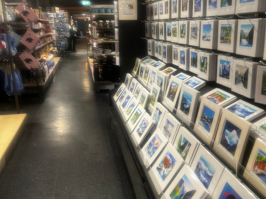 Mall Of Norway-弗洛姆必去景点