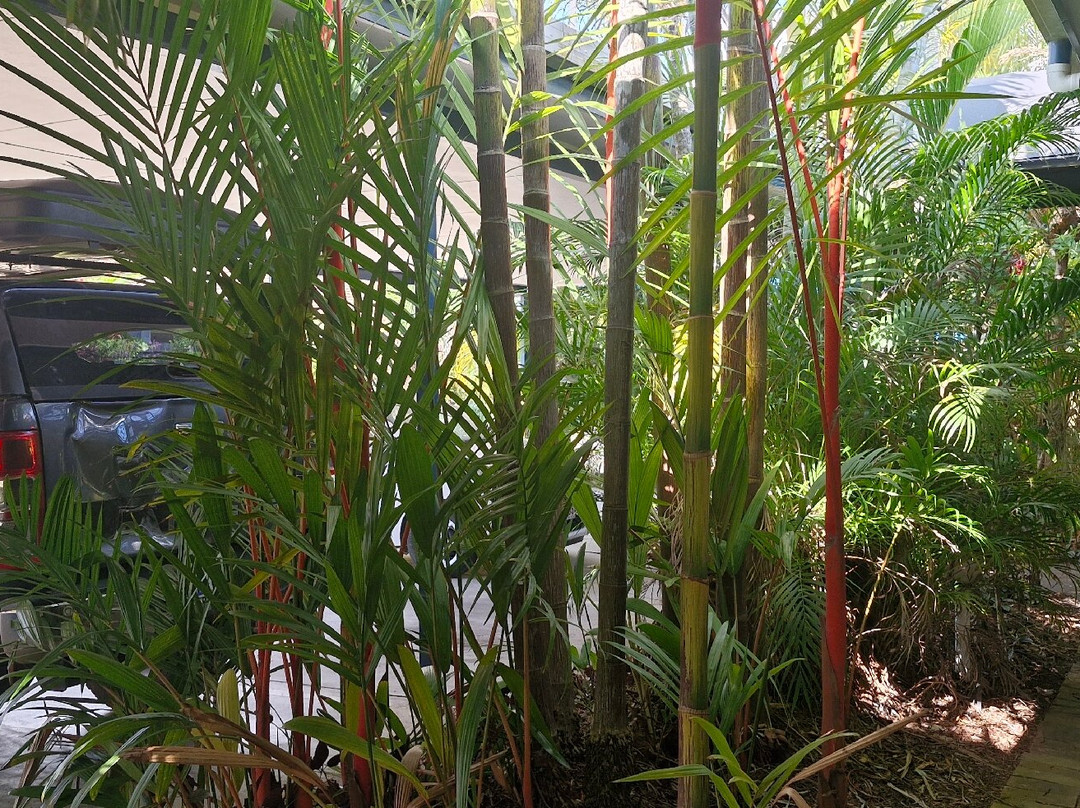 最佳西方懒蜥蜴汽车酒店主图