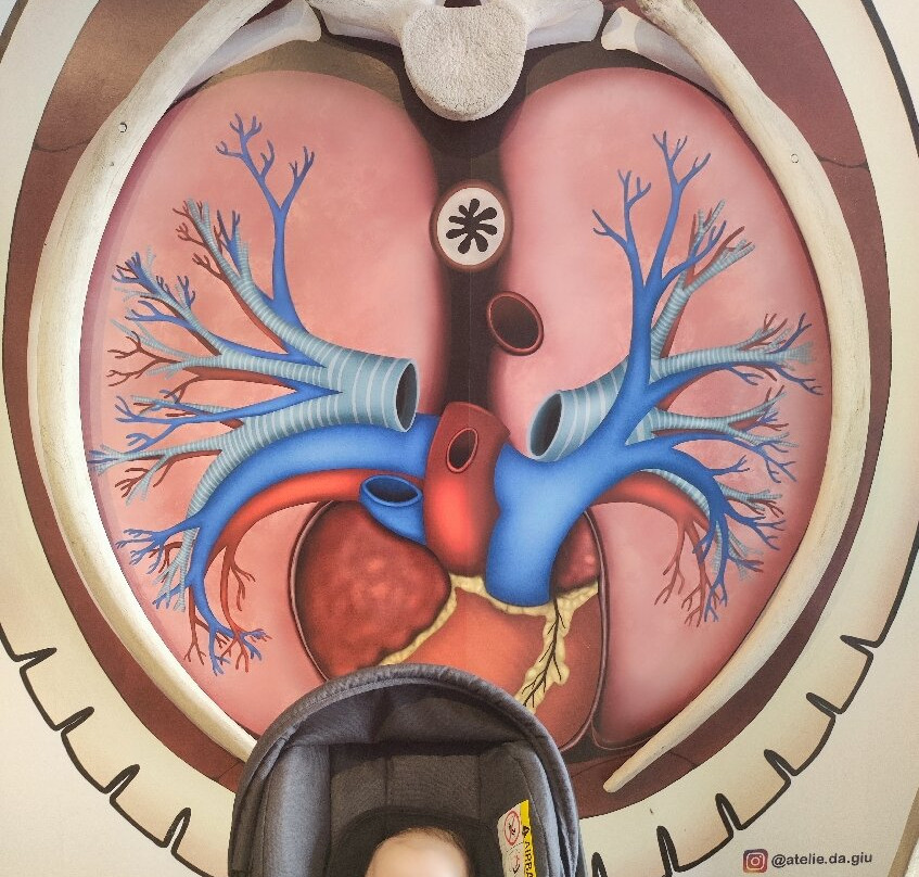 Espaço Baleia Jubarte Vitória-维多利亚必去景点