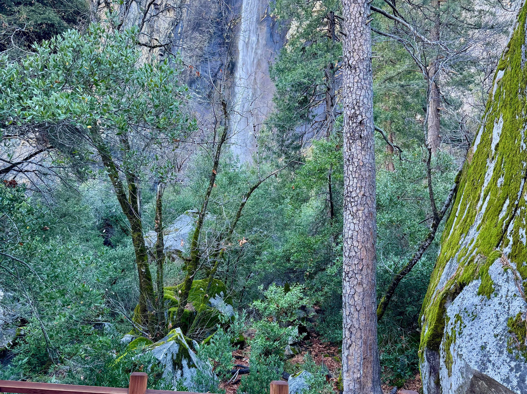 Yosemite 360 Tours-菲什营必去景点