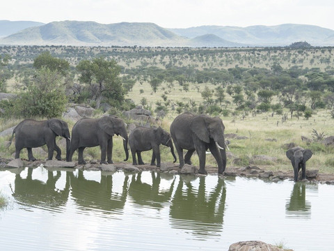 Mwanamshiki Tours and Safaris-阿鲁沙必去景点