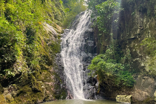 Fazenda Wolff-Rolante必去景点