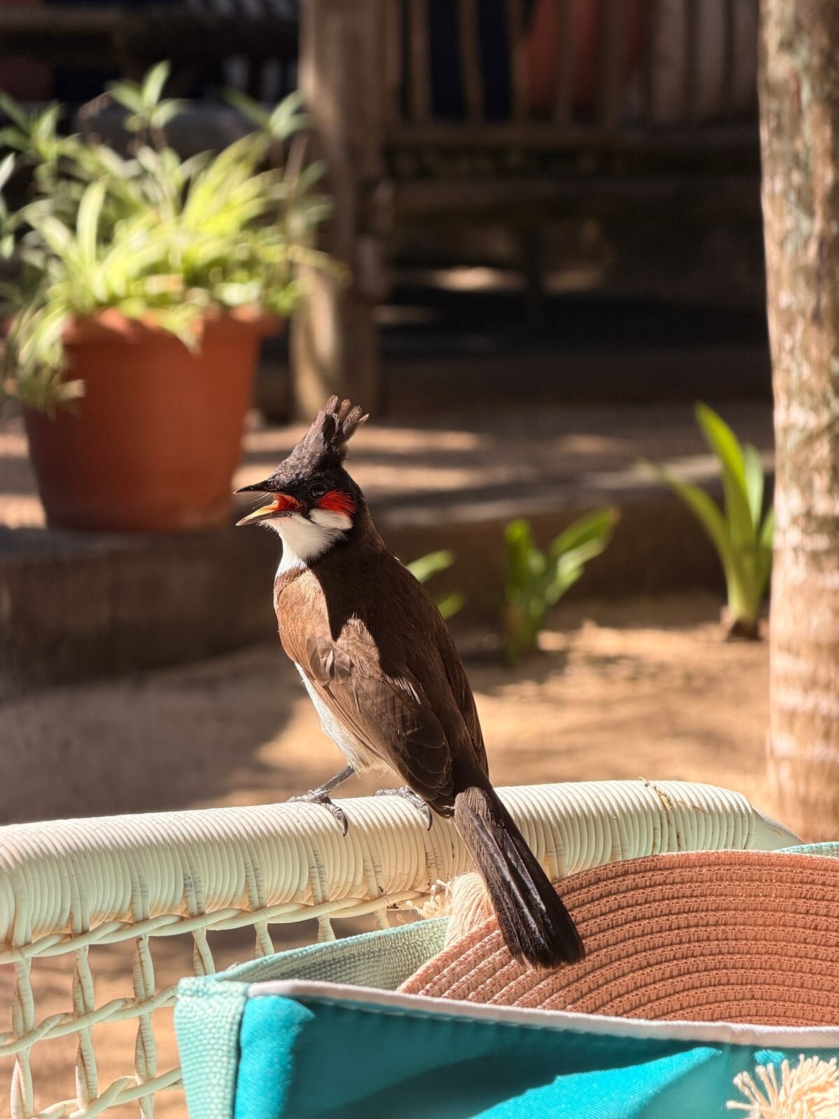 态度快乐周五-官方