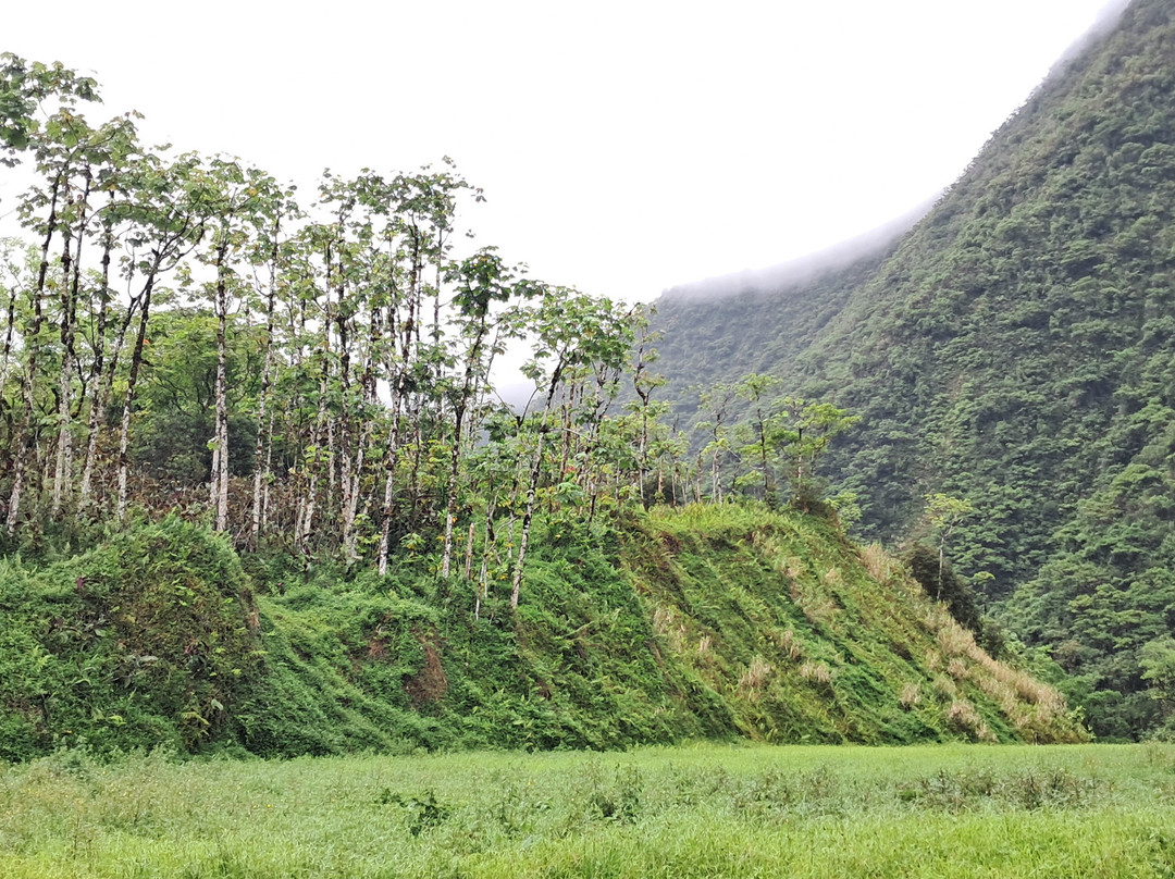 Marama Safari 4x4-法阿必去景点