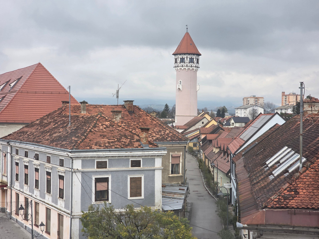 Vodovodni stolp Brežice-Brezice必去景点