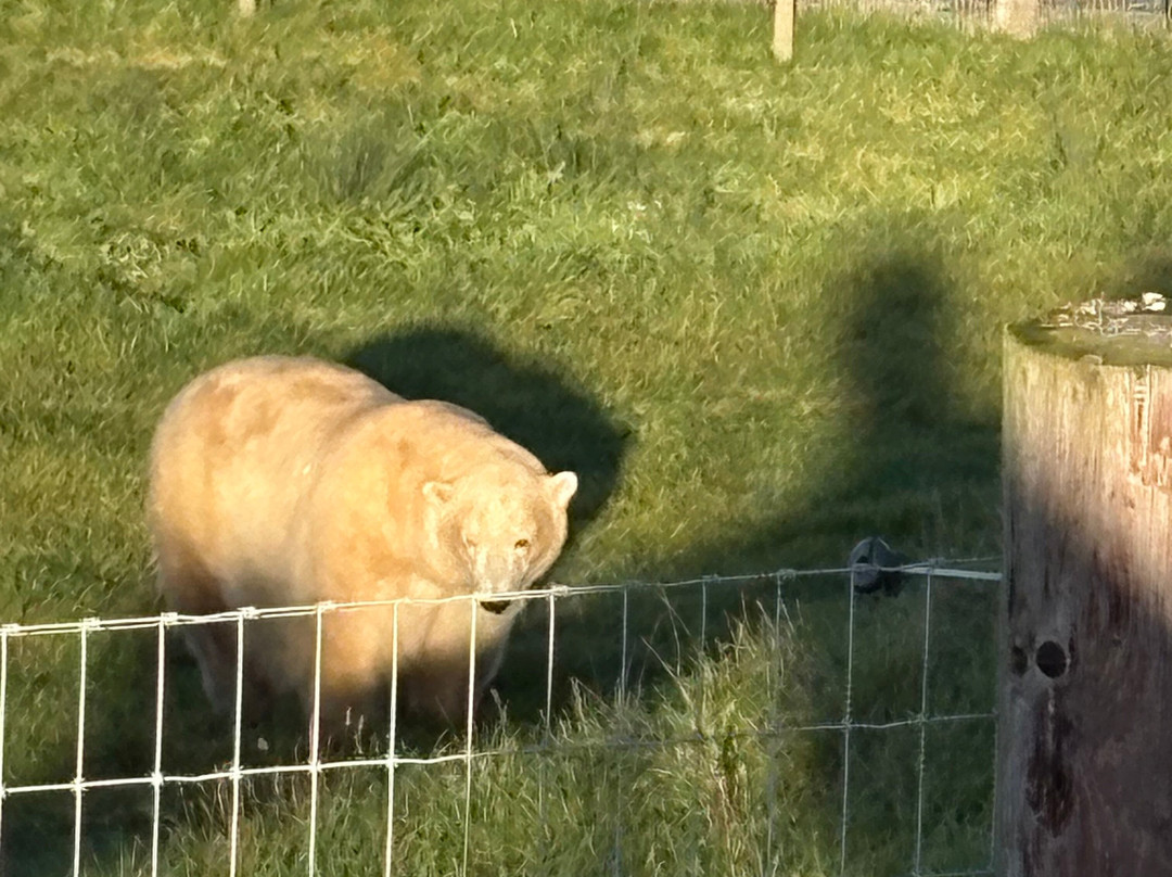 Jimmy's Farm & Wildlife Park-伊普斯威奇必去景点