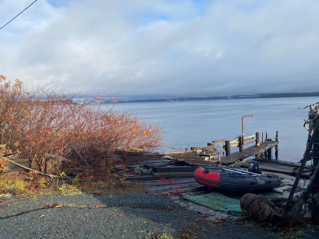 望海住宿加早餐旅馆主图