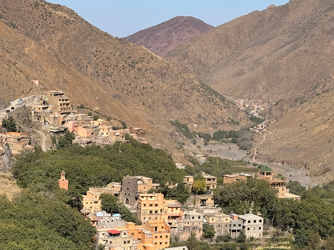 Journey Beyond Travel-Ifrane必去景点