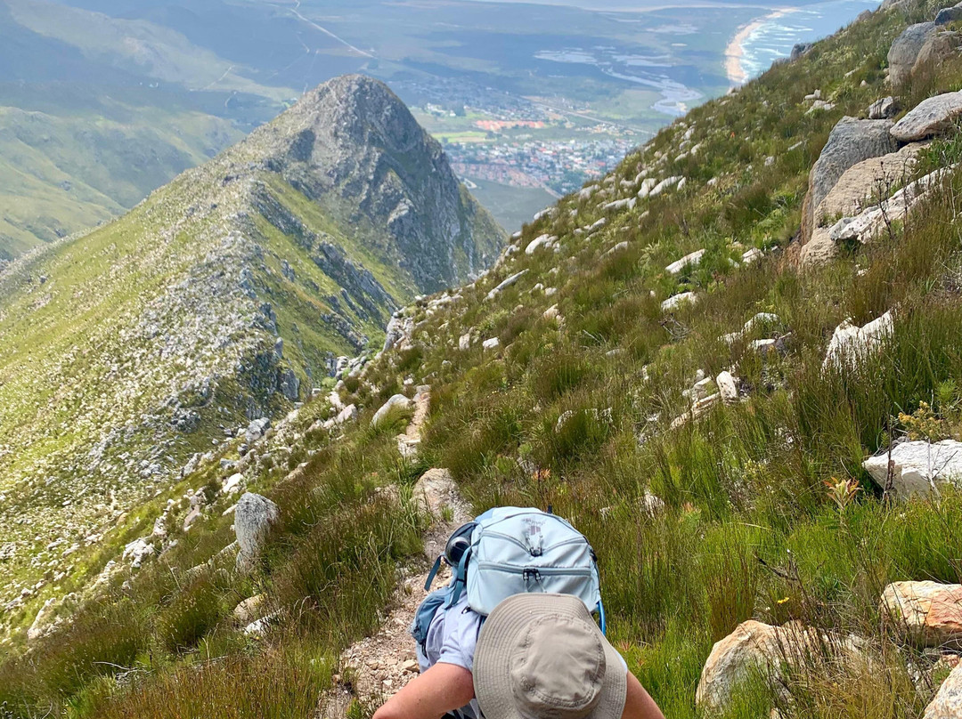 Wild Wellness-赫曼努斯必去景点