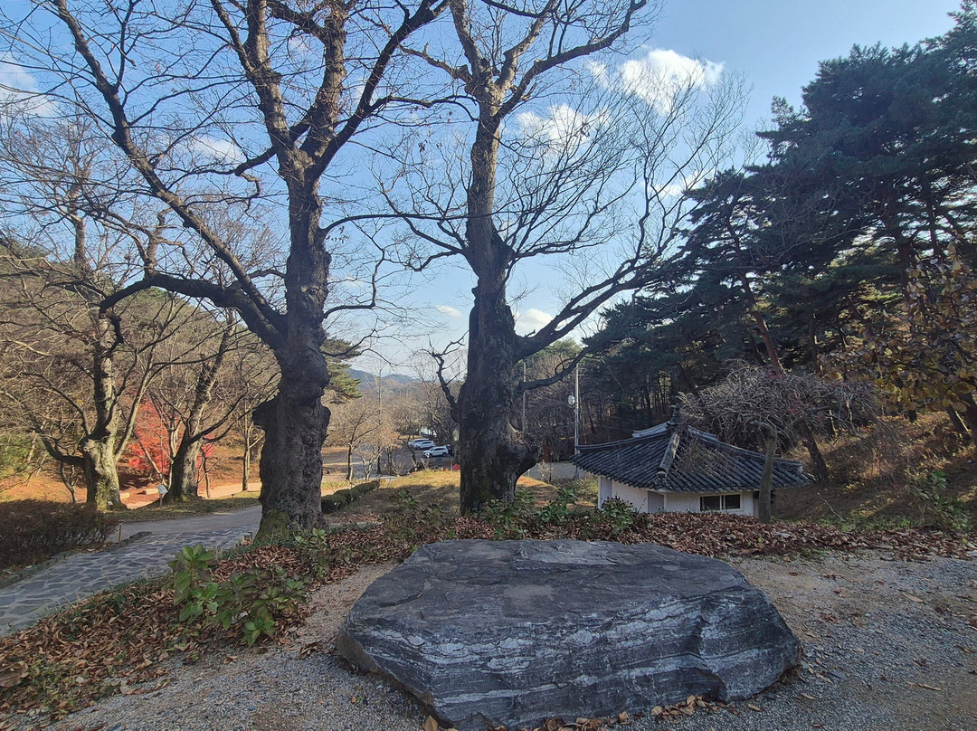 Yeongtap Temple-唐津郡必去景点