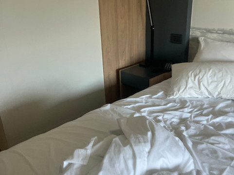 阿尔马苏尔普罗维登西亚酒店主图